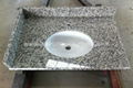 Tiger Skin White Vanity Top