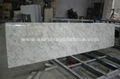 Andromeda White Granite Countertop 1