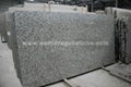 Tiger Skin White Granite Slab