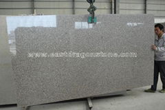 G664 Bainbrook Brown Granite Slab