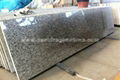 Tiger Skin White Granite Countertop 1