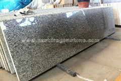 Tiger Skin White Granite Countertop