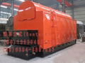 DZL Coal Fired Steam Boiler 2