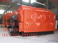 DZL Coal Fired Steam Boiler 4