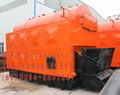 DZL Coal Fired Steam Boiler 5