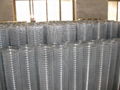 welded wire mesh 4