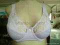 Lady 's big size Bra 1