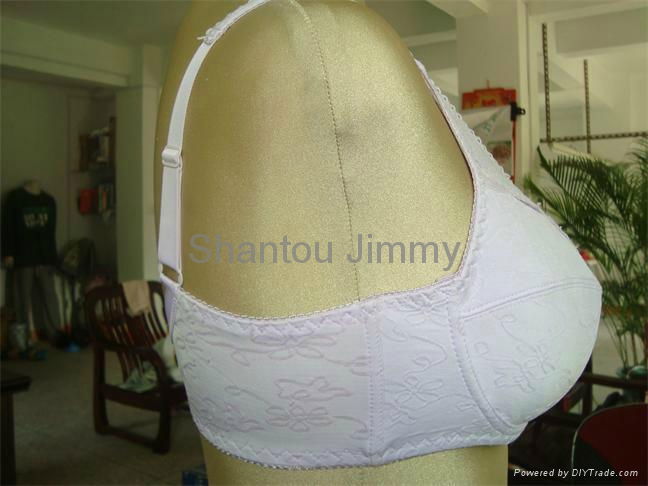 Lady 's big size Bra 3