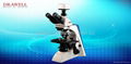 Series Biological Microscope 1