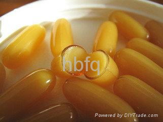 OEM High Quality Royal Jelly Softgel (1000mg 2