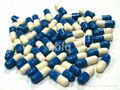 OEM High Quality Ginseng Capsule