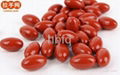 OEM Service High Quality Beta-Carotene