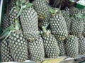 Fresh Pineapple 1