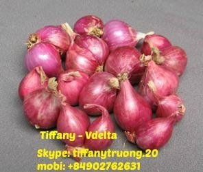 Vietnam Red Onion 3