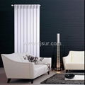 household water heating aluminum radiator 1