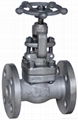 globe valve 1