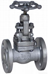 globe valve