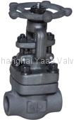 gate valve