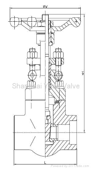 gate valve 2