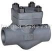 check valve 1