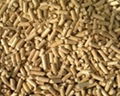 Quality Wood Pellets