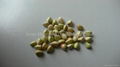 Buckwheat kernels 2