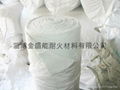 硅酸鋁陶瓷纖維布 1
