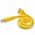 10 Ft Flat 30 Pin USB Cable for iPhone