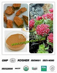 100% Natural Rhodiola Rosea extract (Salidroside & Rosavin)