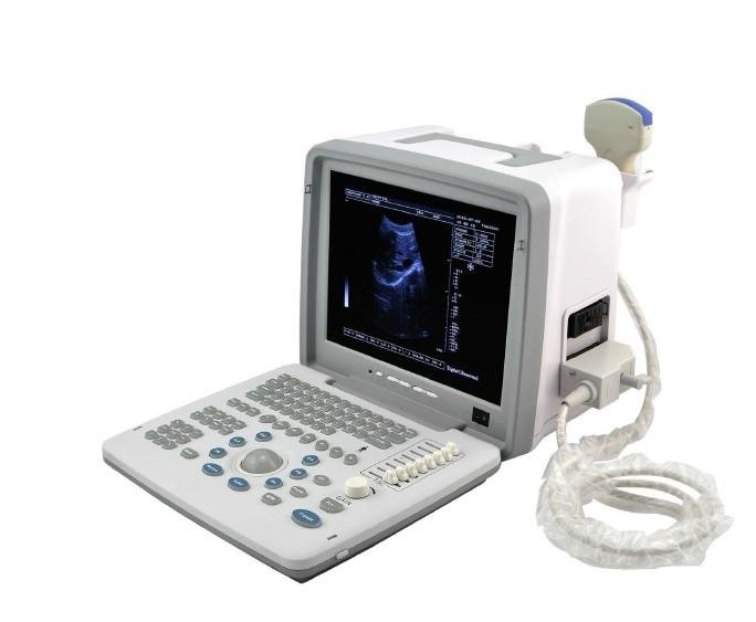 Portable B/W ultrasound scanner