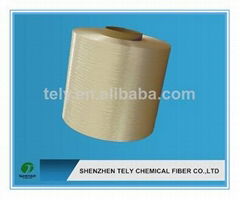 Nylon66 high tenacity FDY filament Yarn 50D to 1680D