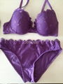 ladies embroidery moulded wire bra & brief set 1