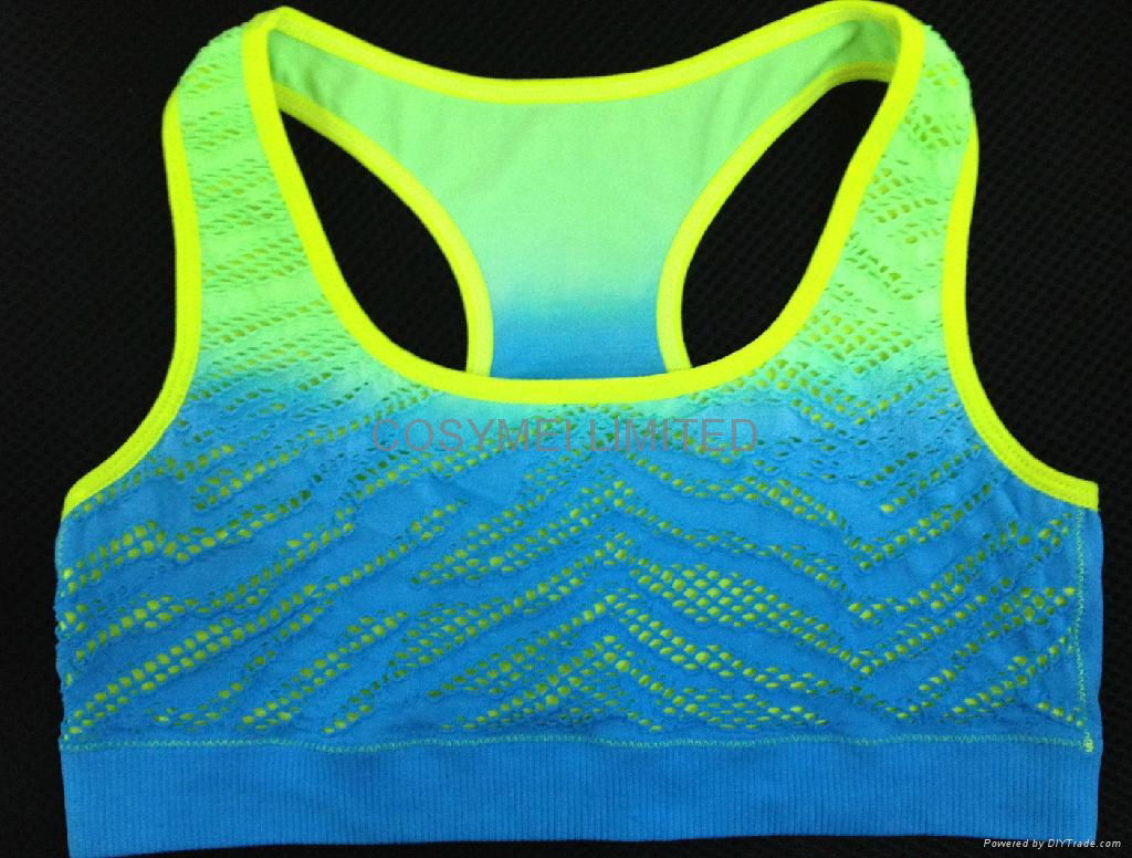 ladies seamless sport bra 2