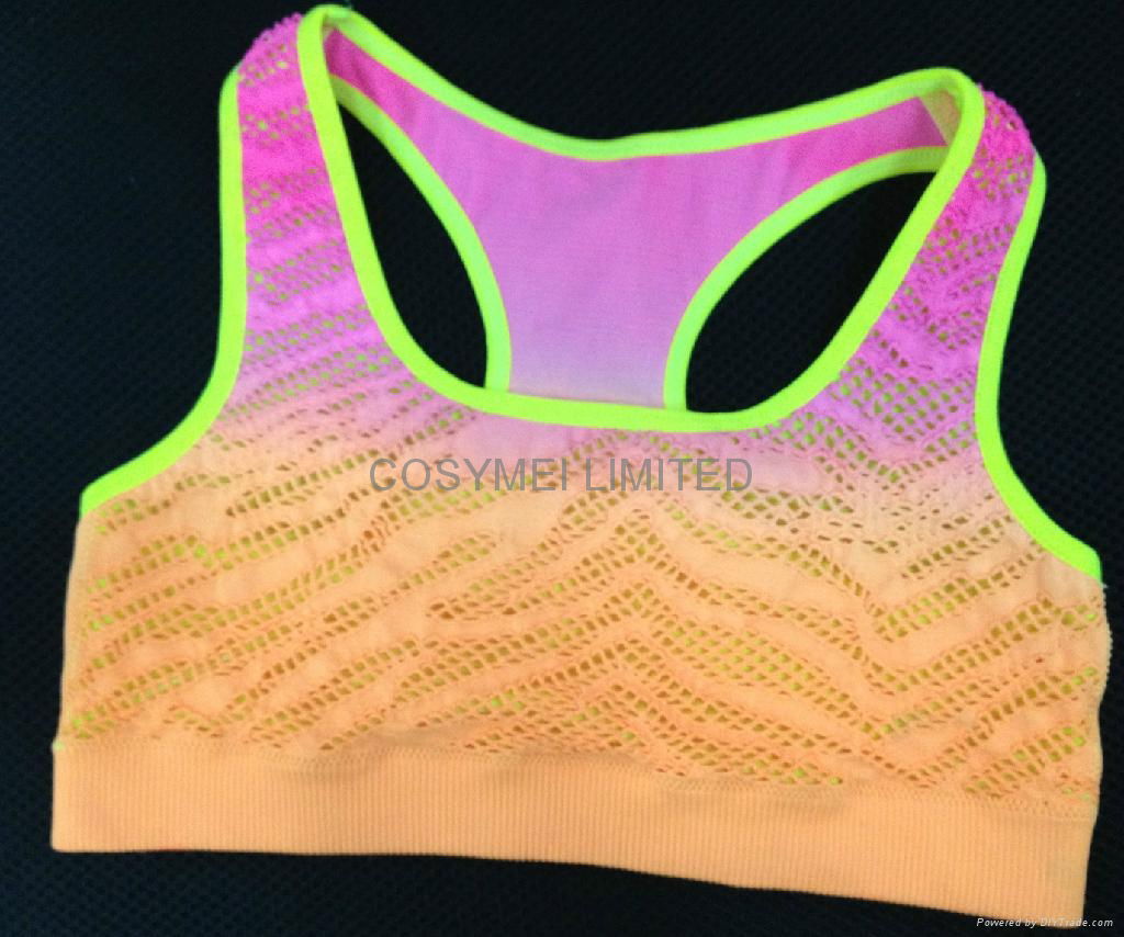 ladies seamless sport bra 3