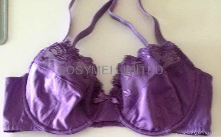 ladies embroidery moulded wire bra & brief set 3