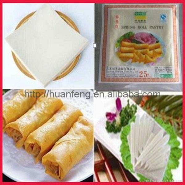 frozen spring roll pastry 2