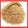 wheat bran for animal feed