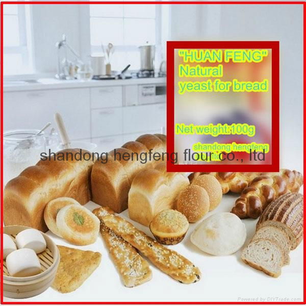 natural yeast for baking 3