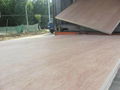 teak plywood  4