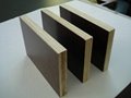 teak plywood  5