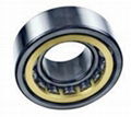 NUP203, NUP203M, NUP203E, NUP203ECP Cylindrical roller bearing 1