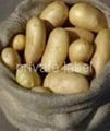 potato. 1