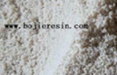Macroporous strong basic adsorbents resin