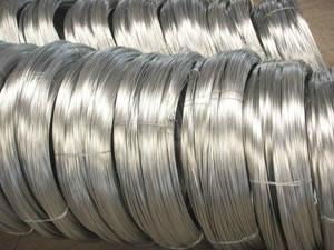 Electro Galvanized Wire 2