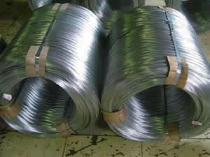 Electro Galvanized Wire 3