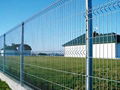 Wire Mesh Fence