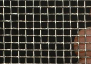 Square Wire Mesh 3