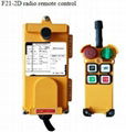 F21-2D radio remote control 1