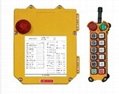 F21-10D Radio Remote Controls 1