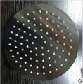 High quality and cheap price shower head 4